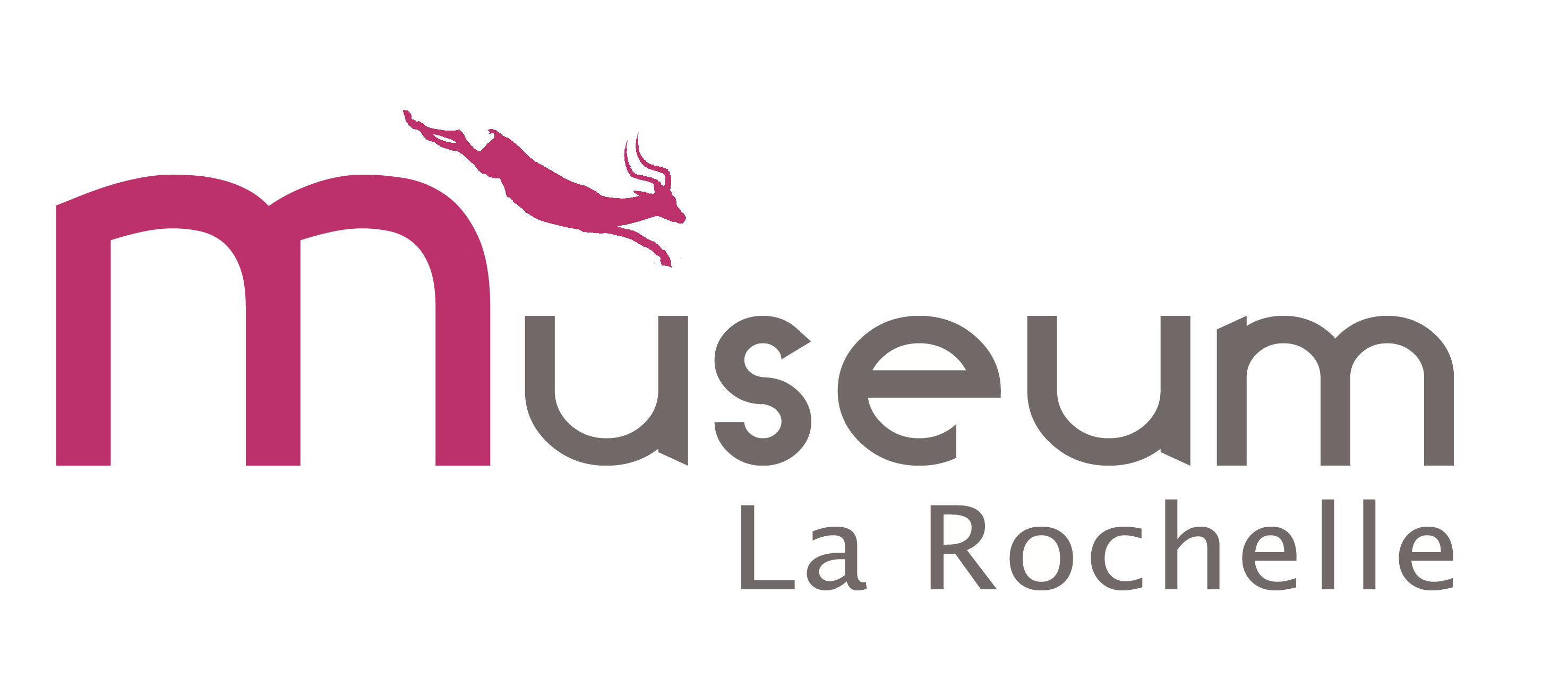 Muséum d'histoire naturelle de La Rochelle